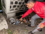 Dua Pemuda Kabur Tinggalkan 1 Kg Bubuk Petasan saat Polisi Datang