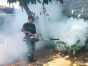 Cegah Demam Berdarah, Galakkan PSN dan Melakukan Fogging