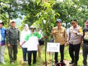 Penanaman Pohon Serentak untuk Pelestarian Lingkungan