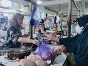 Hari Pertama Ramadan, Harga Ayam Potong Melonjak