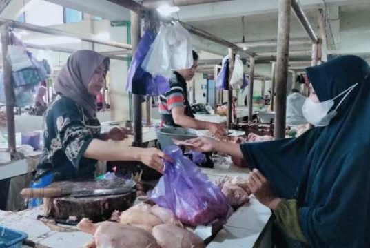 Hari Pertama Ramadan, Harga Ayam Potong Melonjak