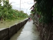 Banjir Grobogan, Arus Air Masih Sangat Deras di Desa Bugel Godong, Permukiman Tergenang Sampai 30 Sentimeter