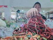 Harga Cabai di Batang Merangkak Naik