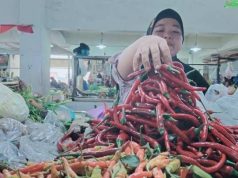 Harga Cabai di Batang Merangkak Naik