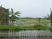 Banjir di Demak Makin Meluas, Wilayah Pesisir hingga Demak Kota Terdampak