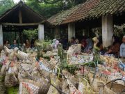 Kampanye Pengurangan Pemakaian Plastik, Nyadran di Soropadan Pakai Keranjang Bambu nyadran soropadan
