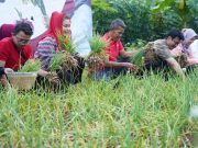 Wali Kota Semarang Dorong Pengembangan Bawang Merah Varietas Bima