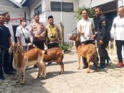 Angka Pemilih di 24 TPS Tinggi, KPU Grobogan Berikan Hadiah Kambing untuk KPPS