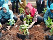 Kota Semarang Menekan Inflasi dengan Menggenjot ‘Urban Farming’