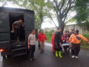 Tertimpa Pohon Tumbang, Satu Warga Kudus Meninggal, Dua Luka Parah