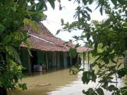 Banjir di Demak Buat hampir 30 Ribu Orang Mengungsi, Warga Butuh Makanan Pokok Segera
