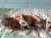 Kembali Ditemukan Jasad Bayi di Jepara, Diduga Dibuang Ibunya Usai Dilahirkan