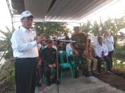 Menteri Pertanian ke Kendal akan Datangkan Alat Panen di Lahan Kebanjiran