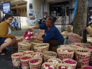Jelang Ramadan, Harga Bunga Mawar Tabur Ikut Naik bunga mawar