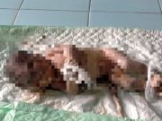 Ditangkap Polisi, Ibu yang Membuang Anaknya ke Sungai