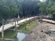Empat Petambak Ilegal Karimunjawa Ditetapkan Tersangka, Ini Ancaman Hukuman dan Dendanya