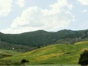 Perbukitan dan Gunung, harus bebas dari Property