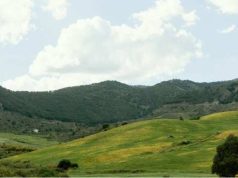 Perbukitan dan Gunung, harus bebas dari Property