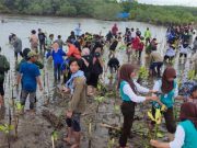 Agar Pantai Tak Semakin Tergerus Abrasi, Wapalhi FSH Unisnu Jepara Kembali Laksanakan Revitalisasi Hutan Mangrove