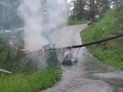 Sempat Tertutup Pohon Pinus, Jalan Kebumen-Sadang Kembali Normal