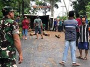 Truk Mengangkut Kayu, Terguling di Tanjakan Kali Biru