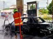 Menyongsong Hari IFFD, Empat Bulan Tangkap Ular 50 Ekor Ngundhuh Tawon 37 Kali