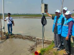 Dukung Pertumbuhan Ekonomi, PLN Nyalakan Serentak Pasang Baru dan Tambah Daya Listrik Sektor Agrikultur di Sragen