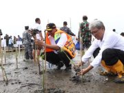 Kurangi Abrasi, Pj Bupati Brebes Dampingi Dirjen KSDAE Tanam Mangrove