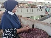 Harga Bawang Merah di Batang Melambung