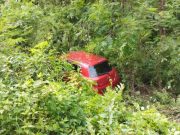 Akan Mudik Lebaran di Rembang Malah Mobil Oleng Masuk Hutan di Randublatung Blora