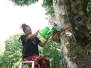 Tanam Anggrek dan Tanaman Hias Lain, Simbolisasi Kartini Rawat Bumi di UKSW