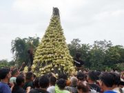 Gerebeg Ketupat, Ajang Silaturahmi Antarwarga Masyarakat Dusun Dawung Gerebeg Ketupat Dusun Dawung