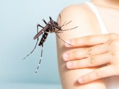 Demam Berdarah di Grobogan Meningkat, 1.058 Kasus Sampai Pekan Ke-15