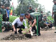 Pangdam IV Diponegoro Dukung Budidaya Pisang Cavendish di Kebumen