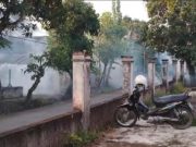 1.180 Kasus DBD di Kabupaten Grobogan Sudah Tertangani
