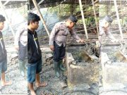 Kandang Ayam Milik Anggota DPRD Sragen Terbakar, 60.000 Ekor Ayam Terpanggang