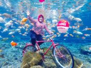 Umbul Ponggok, Wisata Bawah Air yang Instagramable dan Eksotik