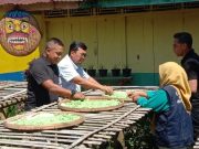 Direktur PT Pamapersada Nusantara : Proklim Kawista Wonosobo Bisa jadi Proyek Percontohan Nasional