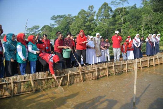Wali Kota Semarang Dorong Anak Muda Menjadi Agen Ketahanan Pangan