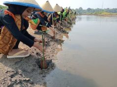 Tanam Mangrove di Pantai Kropak Bondo, Ini Aksi Lingkungan SDIU Fadlun Nafis