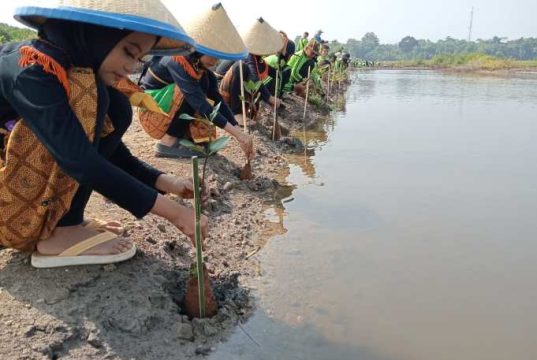 Tanam Mangrove di Pantai Kropak Bondo, Ini Aksi Lingkungan SDIU Fadlun Nafis