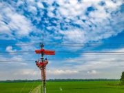 Pendapatan PLN Tumbuh Signifikan Mencapai Rp487 Triliun, Ditopang Peningkatan Penjualan Tenaga Listrik