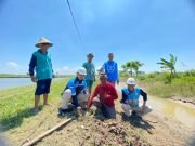 Dorong Peningkatan Produktivitas Petani Bandeng di Desa Ujungwatu, PLN UIK Tanjung Jati B Bangun Fasilitas Sekretariat dan Edukasi
