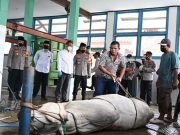 Cegah Penyakit, Pemkab Kebumen Beri Panduan Hewan Kurban