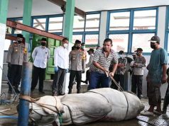 Cegah Penyakit, Pemkab Kebumen Beri Panduan Hewan Kurban