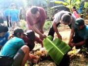 Daging Hewan Kurban Dibagikan ke Masyarakat dan Ponpes