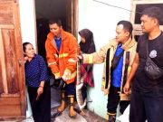 Penghuni Panik, Biawak Masuk ke Dalam Rumah