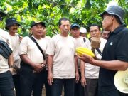 Studi Lapangan ke Nglanggeran, Wisata Desa Gunung Api Purba