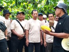 Studi Lapangan ke Nglanggeran, Wisata Desa Gunung Api Purba