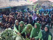 Peringati Hari Lingkungan Hidup Sedunia 2024, Blora Tanam 1.500 Pohon